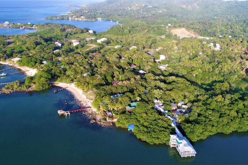 The Dock Resort Over Water Retreat West End Exterior photo