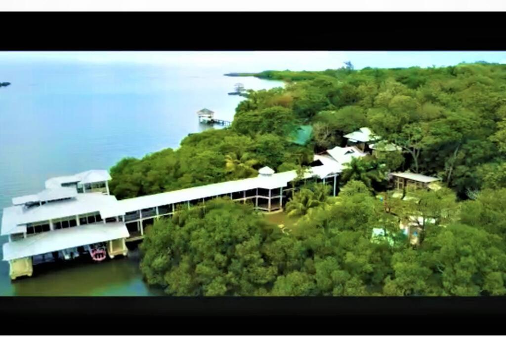 The Dock Resort Over Water Retreat West End Exterior photo